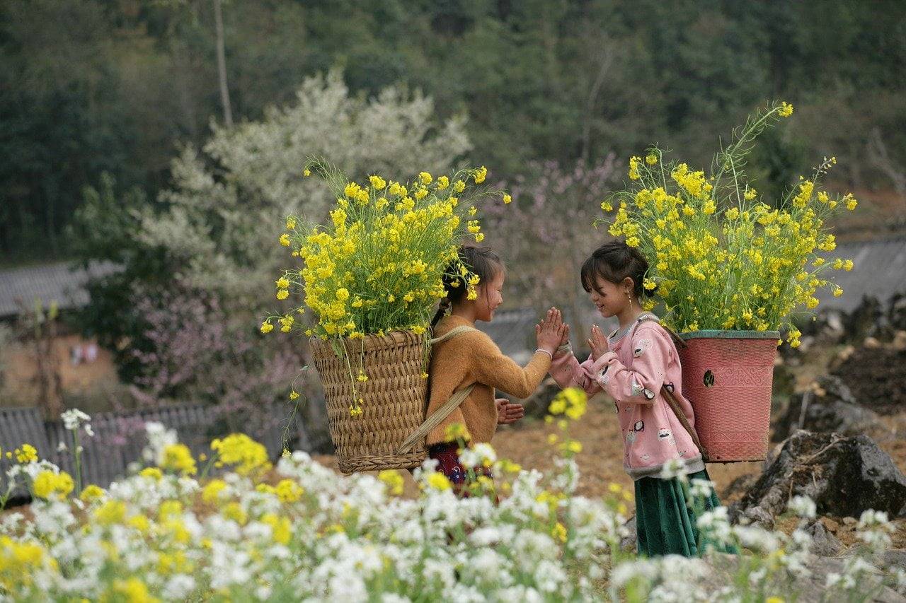 A Springtime Tour of Northern Vietnam’s Blossom-Adorned Landscapes