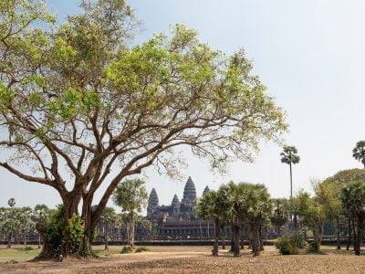 angkor wat, temple, siem reap-3221328.jpg