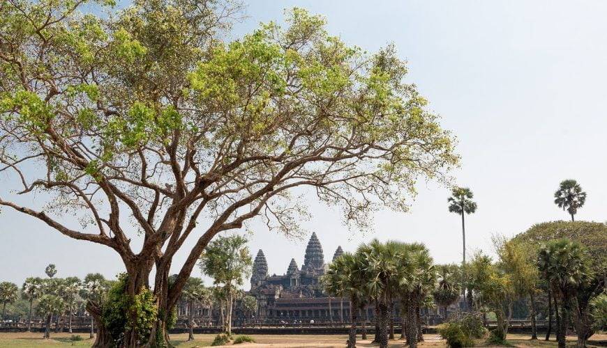 angkor wat, temple, siem reap-3221328.jpg