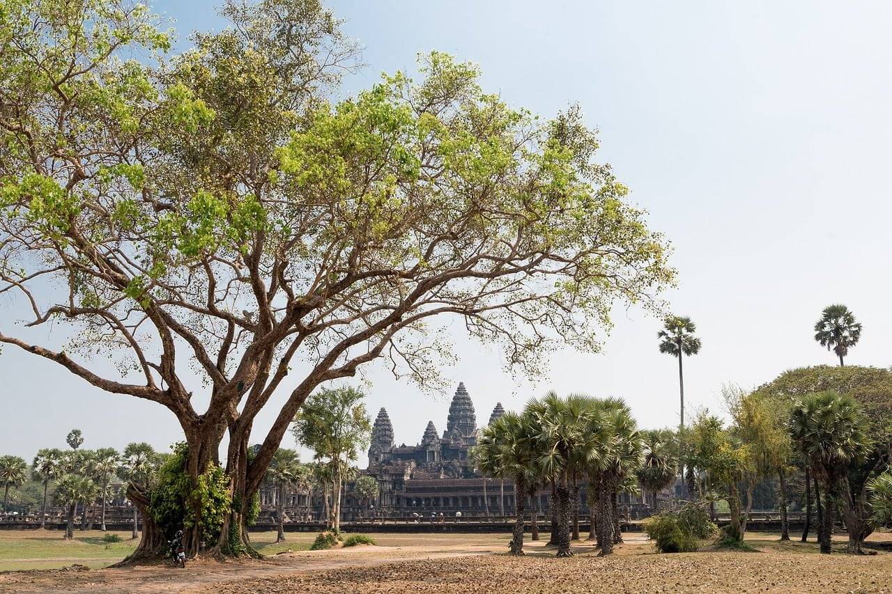 angkor wat, temple, siem reap-3221328.jpg