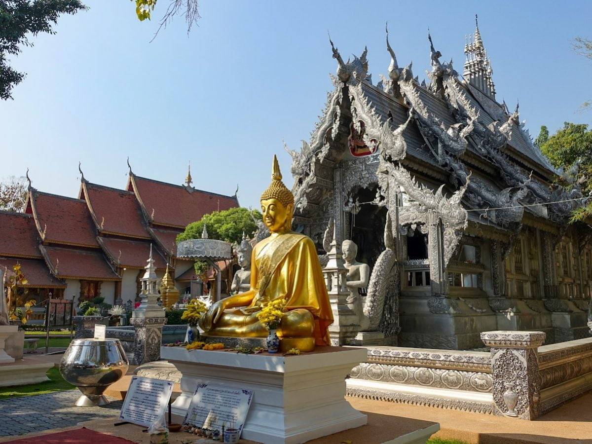 shallow focus photo of Gautama Buddha statue