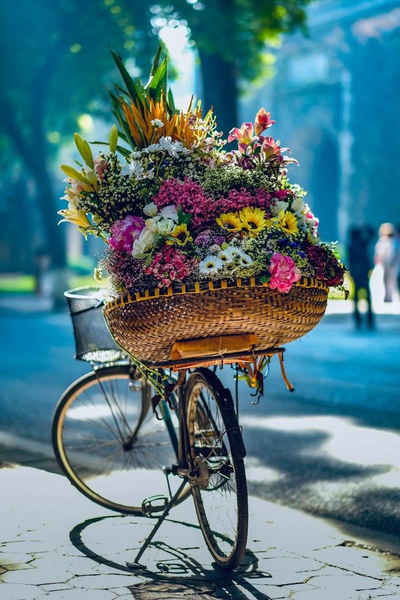 flowers in brown woven basket on bicycle