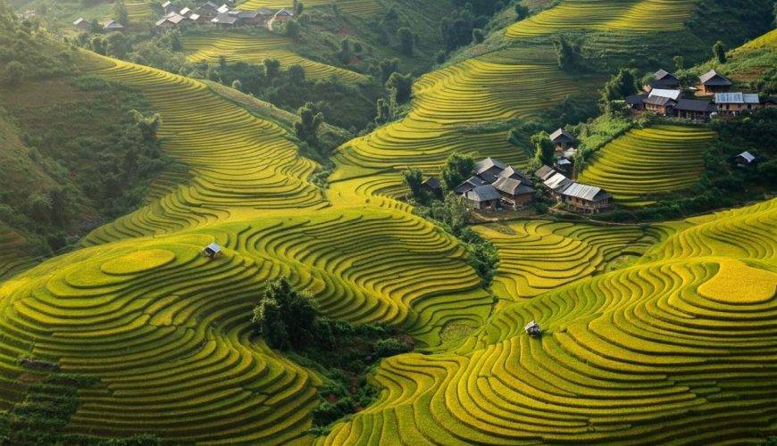 Beautiful terraced rice fields in Vietnam, showcasing nature's artful patterns.