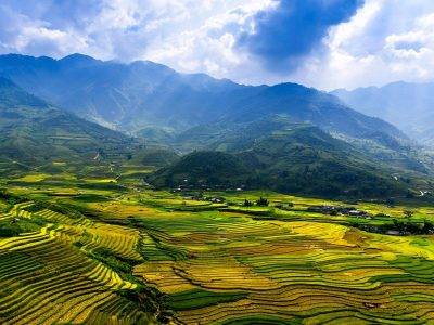 terraces, golden rice field, mu cang chai district, yen bai province, vietnam, vietnam, vietnam, vietnam, vietnam, vietnam