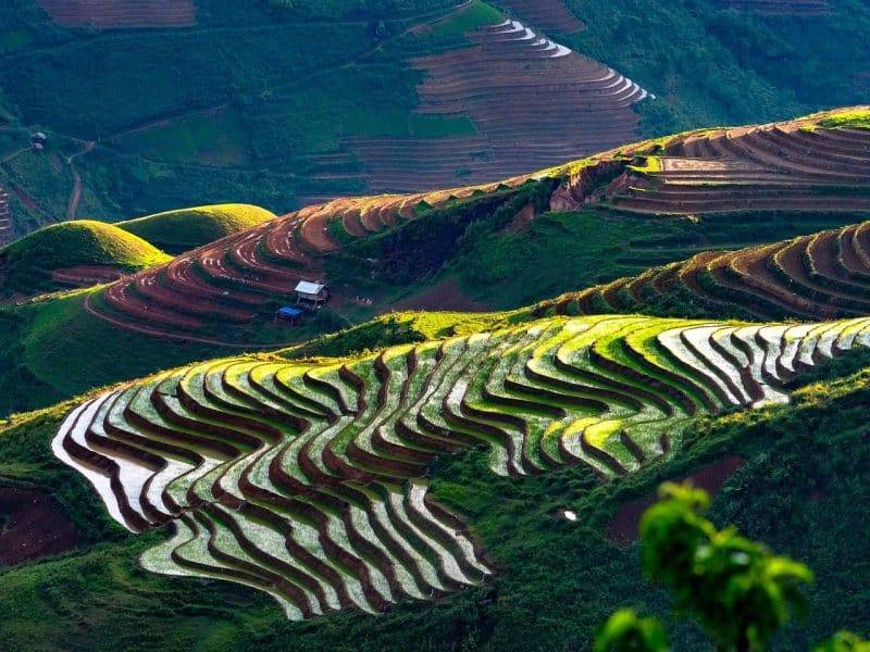 ta xua, hills, mountains, clouds, roads, fields, rice, nature, trees, green, water